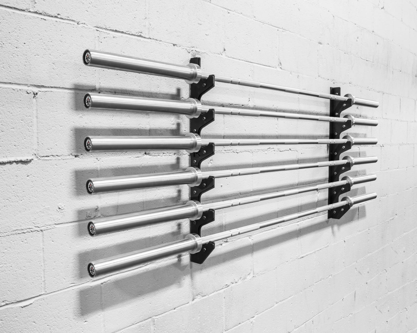 Rogue fitness shop gun rack